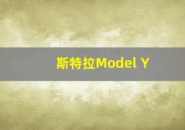 斯特拉Model Y